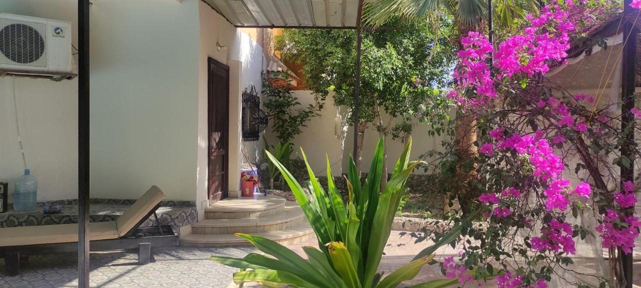 Beautiful Family Private Villa Hurghada Eksteriør billede